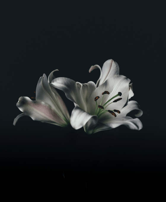 urna cineraria